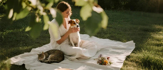 Gentle Ways to Honor Your Beloved Pet: A Guide to Healing & Shared Memories