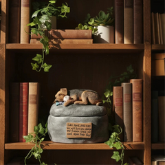 A handcrafted pet urn serving as a beautiful decorative memorial piece on a sunlit bookshelf.